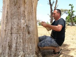 283835_10150261348659901_846449_n